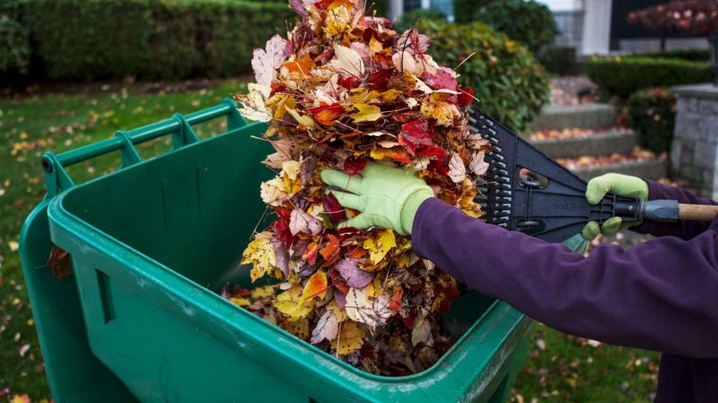 4. Clean your yard regularly.