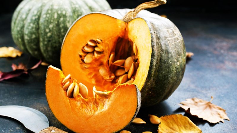 What Types of Squash Deer Enjoys